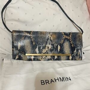 Brahmin Multi-Color Snake Print Clutch